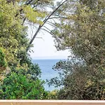 Апартаменты Island Gem Pupnatska Luka