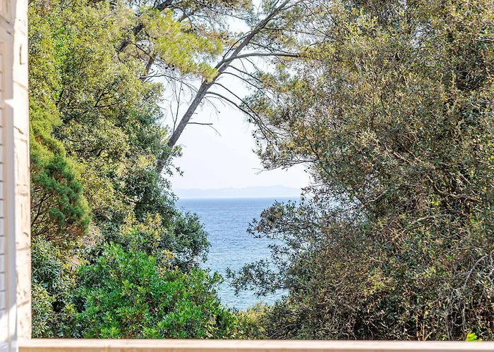 Lägenhet Island Gem Pupnatska Luka