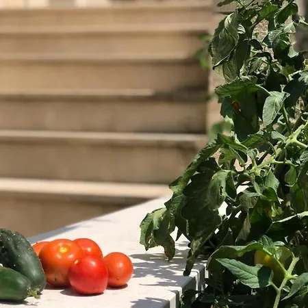 Island Gem Apartamento Pupnatska Luka