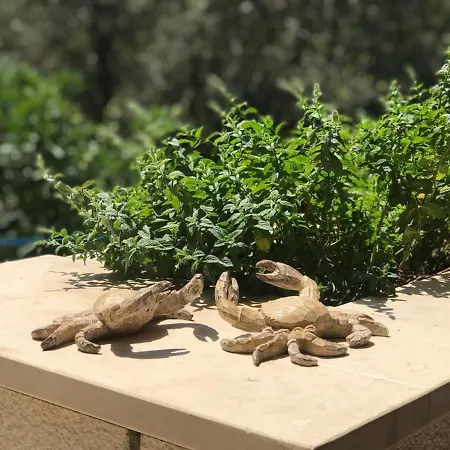 Island Gem Pupnatska Luka