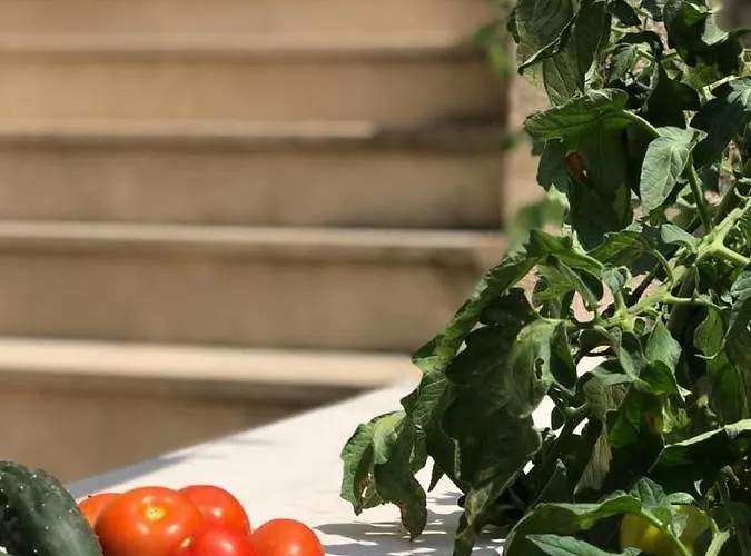 Island Gem 아파트 Pupnatska Luka