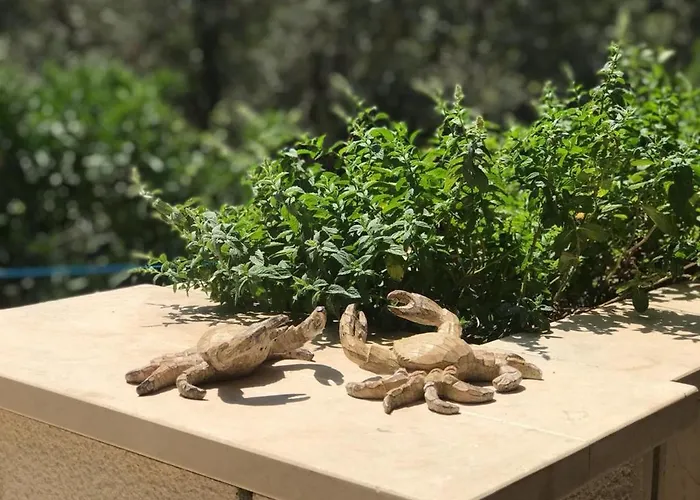 Island Gem Pupnatska Luka